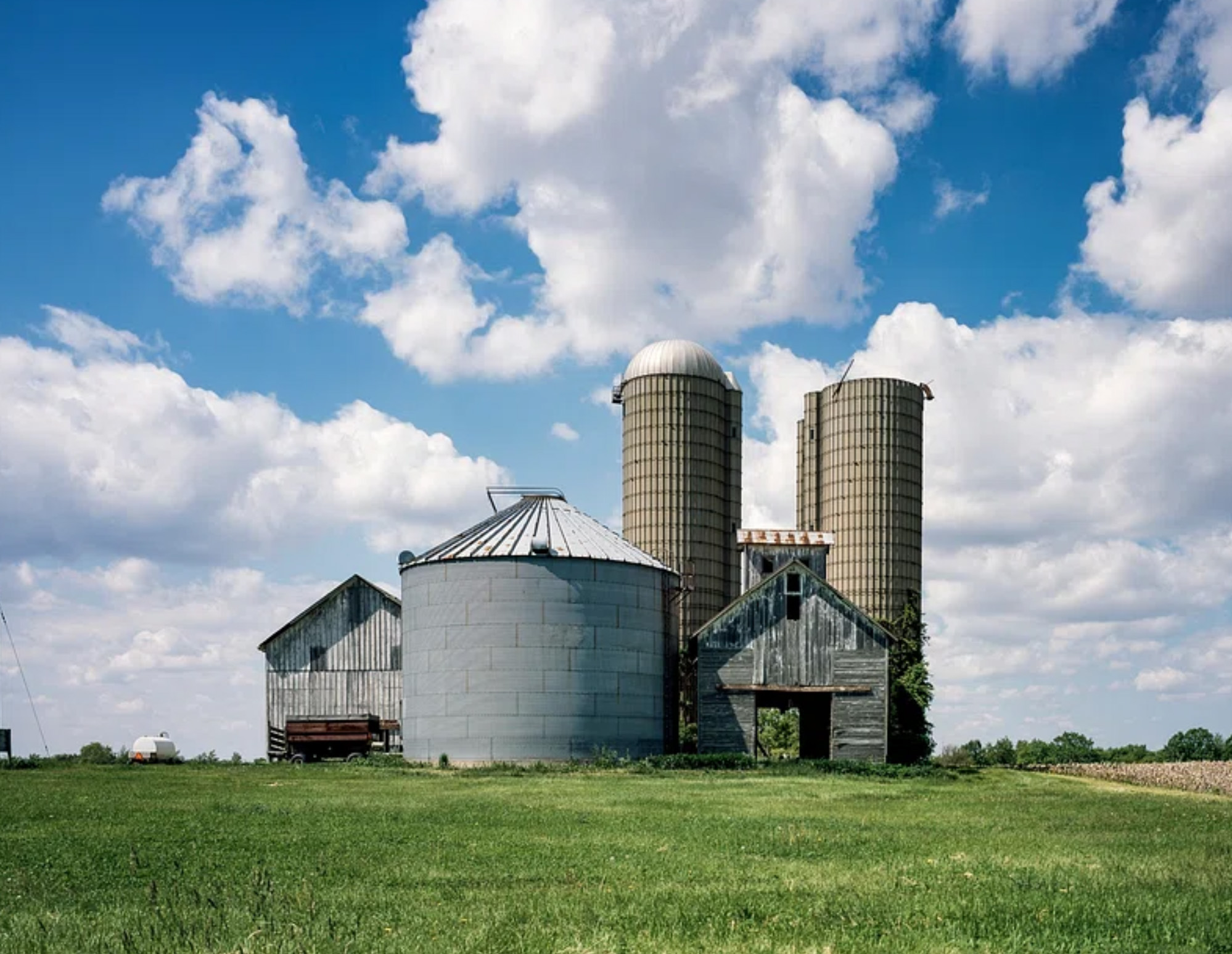 Inquisition of the Modern American Farm